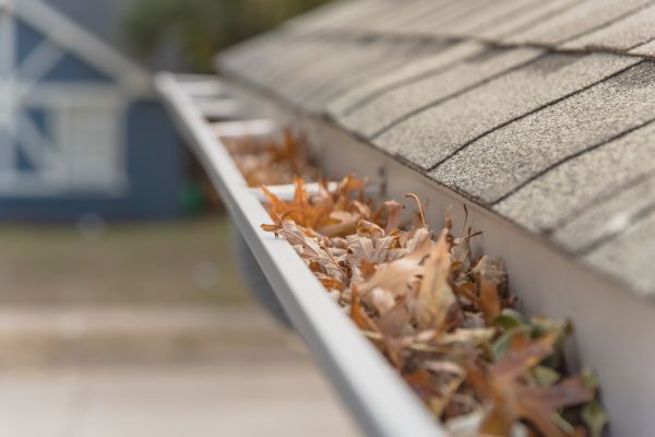 Leaf Barrier Installation in Irving
